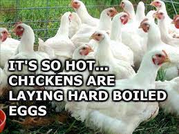 Browse and share the top and its so hot outside gifs from 2021 on gfycat. Its So Hot Outside Jokes