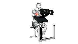 It may be performed using a barbell, dumbbell, resistance band, or other equipment. Exercise Database Biceps7 Two Arm Dumbbell Preacher Curl Jase Stuart The Better Body Coach