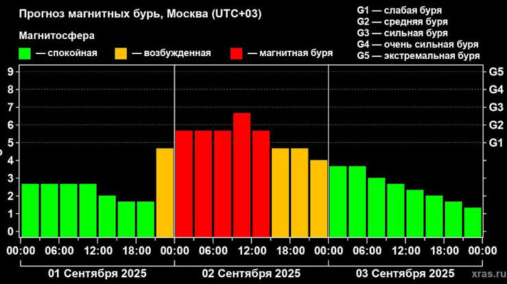 https://encrypted-tbn0.gstatic.com/images?q=tbn:ANd9GcS9ALVFS4zrn4qKUSjsDbFeccYBZ9N_BwIeOn1k7RI-NEdYAP7GS0WPzH6L&s=10