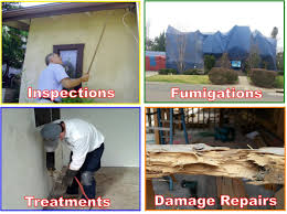 The class b office building was completed in 1987 and features a total of 93,225 sqft. D S Termite And Pest Control Spring Valley Ca 91977 Yp Com