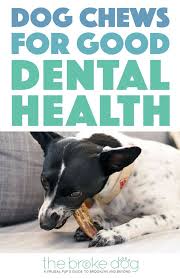Dental plans start as low as $8.95 per month. Dog Chews For Good Dental Health From Only Natural Pet The Broke Dog Pet Insurance Reviews Dog Chews Dental Health
