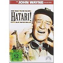 McLintock [DVD] : Wayne, John, O'Hara, Maureen, Wayne, Patrick, Cabot,  Bruce, Powers, Stefanie, Kruschen, Jack, de Carlo, Yvonne, Wills, Chill,  McLaglen, Andrew V.: Amazon.com.be: Films et TV