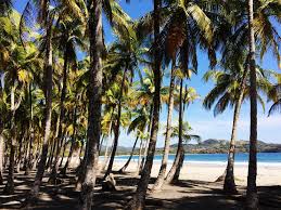 The beach at playa carrillo is no exception. Photos Of Playa Carrillo Costa Rica Jest Cafe Costa Rica Travel Costa Rica American Travel