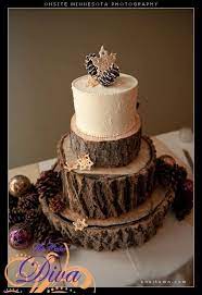 Pin By Karen Stebenne On Eu E Meu Amor Winter Wedding Cake Rustic Cake Tiered Wedding Cake