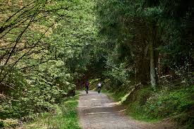 Die weg bank ag ist ein deutsches kreditinstitut in form einer aktiengesellschaft mit sitz in ottobrunn bei münchen. Wandern Im Harz Der Liebesbankweg In Hahnenklee Little Discoveries