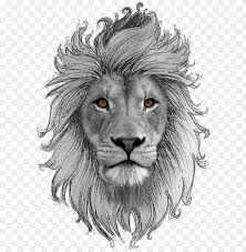 Great savings & free delivery / collection on many items Lion Art Drawings Sketches Zodiac Society Drawing Wildlife Heritage Foundatio Png Image With Transparent Background Toppng