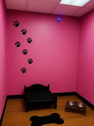 Furry Godmother (@prettybytchpetshop) • Instagram photos and videos