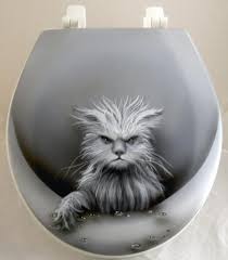 Image result for Pictures of Mischievous Cats