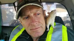 Hiking with Will in a nutshell 🤣