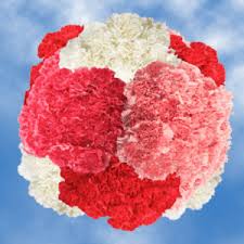 Save up to 25% on red flower products + free p&p. 8 Beautiful Unique Valentine S Day Flower Bouquets Flower Glossary