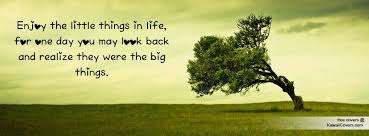 Enjoy The Little Things In Life For One Day You May Look Back And Realize They Were The Big Things Enjoy The Little Things In Life For One Day You May Look Back And Realize They Were The Big Things Life Facebook Cover Photos Life Timeline