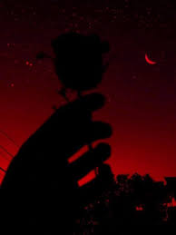 Red | lizza editingopen for more information :).hey guys!here are some backgrounds that i really liked. Heproe Red Aesthetic Red Aesthetic Grunge Red Pictures