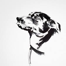 Black And White Illustration Ink Dog Portrait Pet Portrait Ink Brush Drawing By Eri Griffin Dog Portraits Black Pen Drawing Brush Drawing