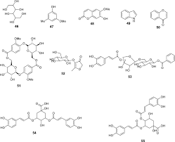 Image result for Psydrax subcordata