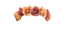 So Cool Flower Flower Crown Tumblr Transparent Flowers Flower Crown