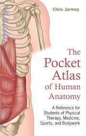 31 full pdfs related to this paper. The Pocket Atlas Of Human Anatomy By Chris Jarmey 9781623172527 Penguinrandomhouse Com Books