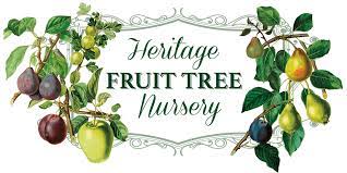 As waltree nursery, we own multiple fruit tree nursery and walnut tree nurseries in turkey. Buy Apple Trees Online Heritage Fruit Tree Nursery