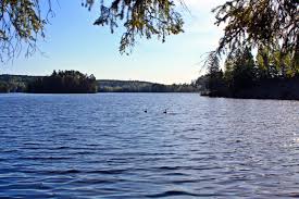 Das feriehaus am verfügt sogar über eine sauna. Ferienhaus Schweden Privat Am See Mit Boot Mieten Deutsche Vermieter Ruhige Lage Am Wald In Schweden Nahe Goteborg Rotes Ferienhaus Am See Mit Internet Wlan Sauna Kamin Direkt Gunstig Mieten Von Privat Sudschweden