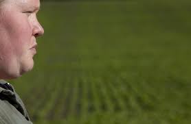 For Oregon farmers, oil-rich canola is either promise or peril