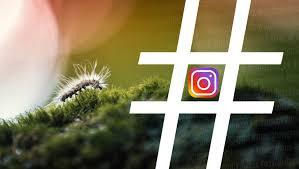 Now you can view the hashtags #indonesia feed directly from the social media. The Best Hashtags To Get Your Photos Seen On Instagram In 2018 Fstoppers