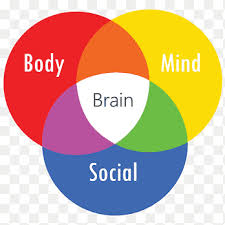 Within psychology, some have argued that the biopsychosocial framework provides the central pathway to unify the field of professional psychology. Biopsychosocial Model Png Images Pngegg