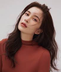 Thị phi của Chung Hân Đồng và Triệu Anh Tử