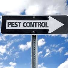 Owner:gulf coast pest control, 5210 marietta drive south, mobile, al 36618. Pest Control In Daphne Yelp