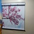 Customised Roller Window Blinds product image