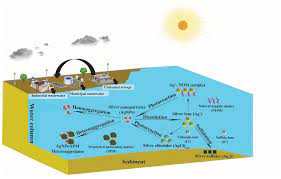 Ijms Free Full Text A Review On The Environmental Fate Models For Predicting The Distribution Of Engineered Nanomaterials In Surface Waters Html