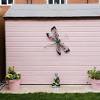 The best type of paint preferable for painting an outdoor shed is a premium quality, 100% acrylic latex paint. 1