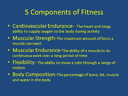 It helps you to stay fit. 5 Components Of Fitness Cardiovascular Endurance The Heart And Lungs Ability To Supply Oxygen To The Body During Activity Muscular Strength The Maximum Ppt Download