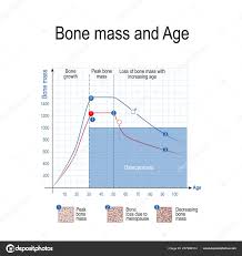 Bone Mass Male Female Age Osteoporosis Chart Healthy