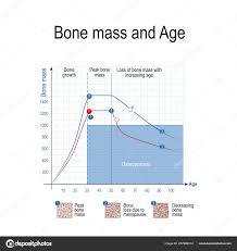 bone mass male female age osteoporosis chart healthy