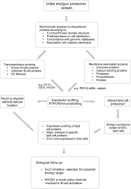 Flow Chart Detailing How Proteins Were Selected For