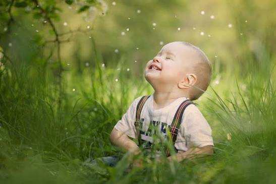Your Natural Stoic Joy — Tom Morris