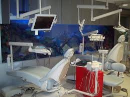 Big Aquarium Somewhere Aquarium Design Dental Office Design