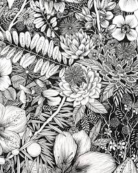 Pattern Design By Maggie Sichter Littlepatterns Floral Botanical Black And White Drawn With Pigma Micron Illustration Ink Illustrations Pattern Illustration