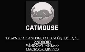 3.0 out of 5 stars 16. Download Catmouse For Pc Android Windows Mac Os App Apk Droidspc