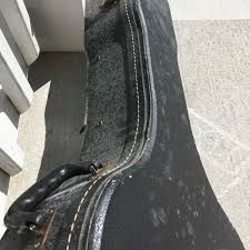 Common bread mold will grow faster on white bread; White Mold Growth In Your Home Causes Solutions Environix
