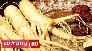 Notoginseng), and american ginseng (p. Arirang Special Ep 360 The Ginseng Documentary Full Episode Youtube