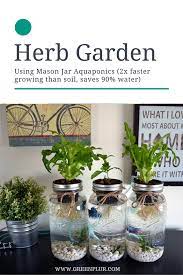 3 Mason Jar Aquaponics Kit Build Your Own Hydroponics Herb Garden Free Shipping Aquaponics Aquaponics Kit Hydroponic Gardening
