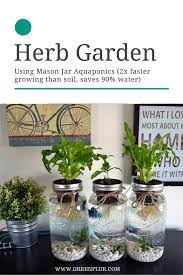 Follow instructions provided by seed provider for best results, but in most cases, simply sow seeds on top of potting mix, cover with an inch or so of. 3 Mason Jar Aquaponics Kit Build Your Own Hydroponics Herb Garden Free Shipping Aquaponics Aquaponics Kit Hydroponic Gardening