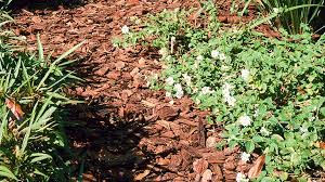 Ein wenig planung einen tag arbeit und schon kannst du neue wege beschreiten. Rindenmulch Tipps Zum Kauf Ndr De Ratgeber Garten