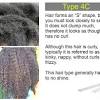 Hair breakage is often caused by the hair becoming dry and brittle through the application of heat during the styling process. 1