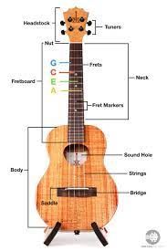 Gamers are a unique bunch. How To Tune A Ukulele For Beginners In 5 Easy Steps The Complete Guide 2021