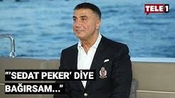 Antensiz.tv sadece canlı yayın televizyonu değil ayrıca popüler bir çok kanalın iletişim, yayın akışı ve program bilgilerine de yer vermektedir. Om0ktgxudz918m