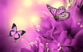 The best selection of royalty free purple butterfly vector art, graphics and stock illustrations. The Purple Butterfly Boutique Home Facebook