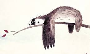 How To Draw A Sloth Sloth Drawing Drawings Sloth Art