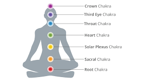 Image result for chakras
