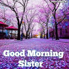 Good Morning Sister With Beautiful Nature Background Images Good Morning Sister Good Morning Images Good Morning Greetings